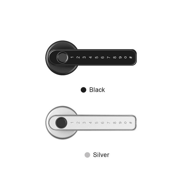 Serratura Smart Handle — FM 190