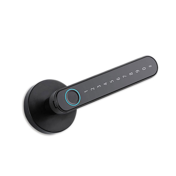Serratura con maniglia intelligente — FM T8